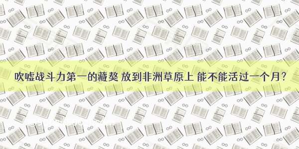 吹嘘战斗力第一的藏獒 放到非洲草原上 能不能活过一个月？