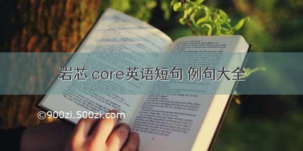 岩芯 core英语短句 例句大全