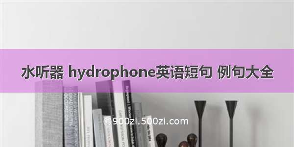 水听器 hydrophone英语短句 例句大全