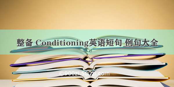 整备 Conditioning英语短句 例句大全