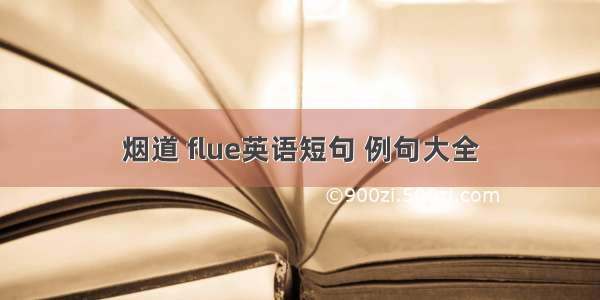 烟道 flue英语短句 例句大全