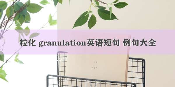 粒化 granulation英语短句 例句大全