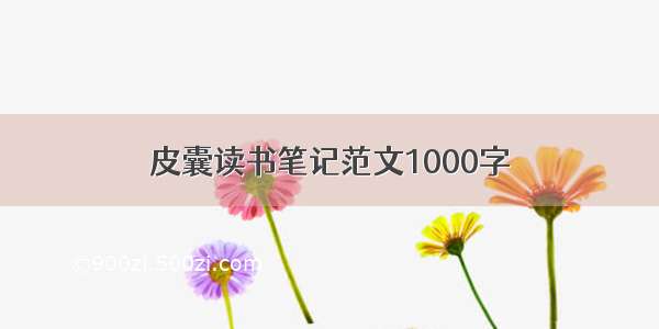 皮囊读书笔记范文1000字