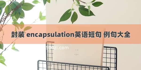 封装 encapsulation英语短句 例句大全