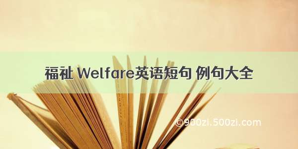 福祉 Welfare英语短句 例句大全