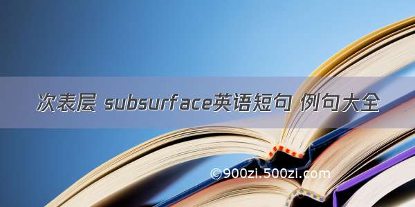 次表层 subsurface英语短句 例句大全