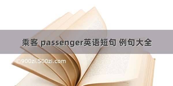 乘客 passenger英语短句 例句大全