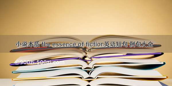 小说本质 the essence of fiction英语短句 例句大全