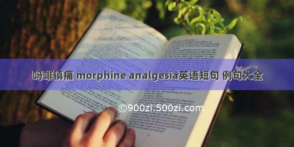 吗啡镇痛 morphine analgesia英语短句 例句大全