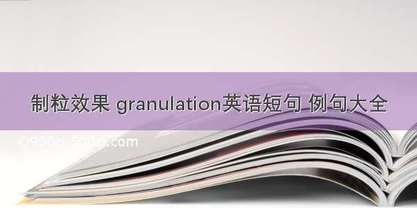 制粒效果 granulation英语短句 例句大全