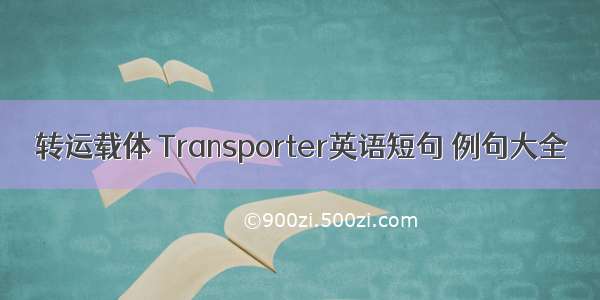 转运载体 Transporter英语短句 例句大全