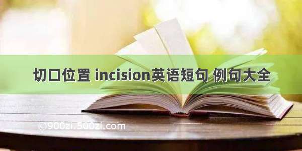 切口位置 incision英语短句 例句大全