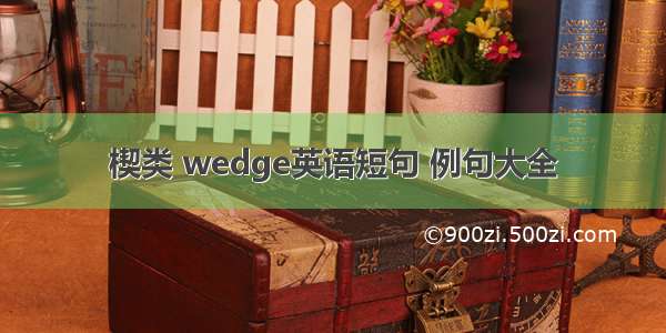 楔类 wedge英语短句 例句大全