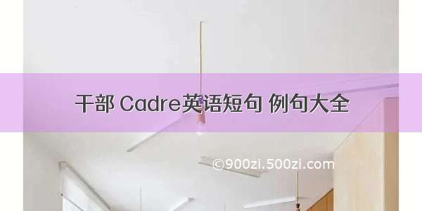 干部 Cadre英语短句 例句大全