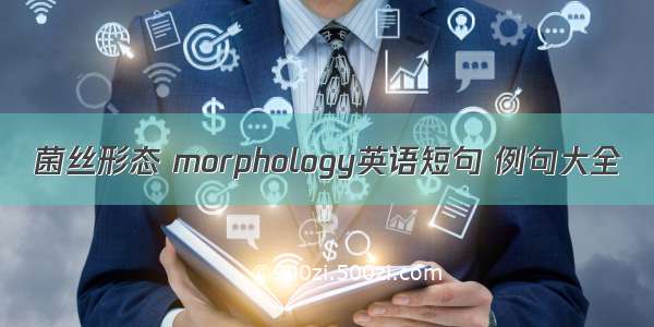 菌丝形态 morphology英语短句 例句大全