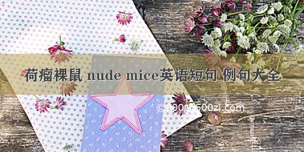 荷瘤裸鼠 nude mice英语短句 例句大全