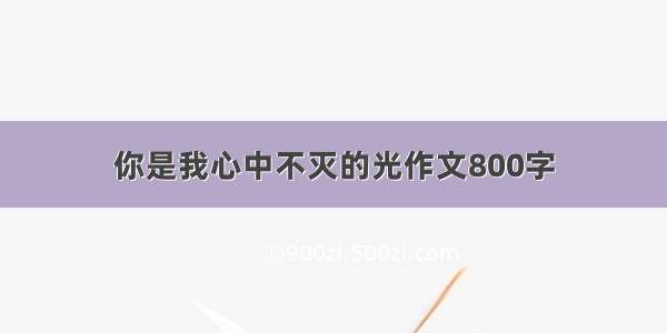 你是我心中不灭的光作文800字