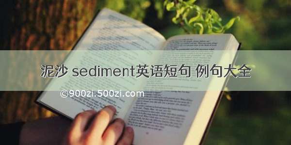 泥沙 sediment英语短句 例句大全