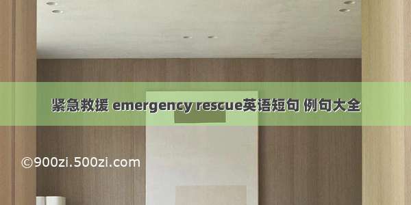 紧急救援 emergency rescue英语短句 例句大全