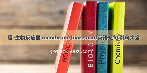 膜-生物反应器 membrane bioreactor英语短句 例句大全