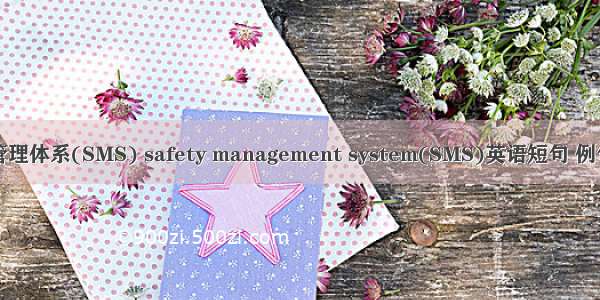 安全管理体系(SMS) safety management system(SMS)英语短句 例句大全