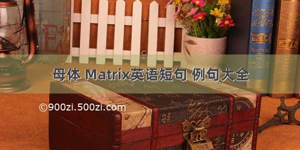 母体 Matrix英语短句 例句大全