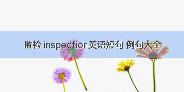 监检 inspection英语短句 例句大全