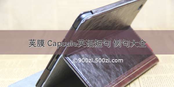 荚膜 Capsule英语短句 例句大全