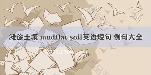滩涂土壤 mudflat soil英语短句 例句大全