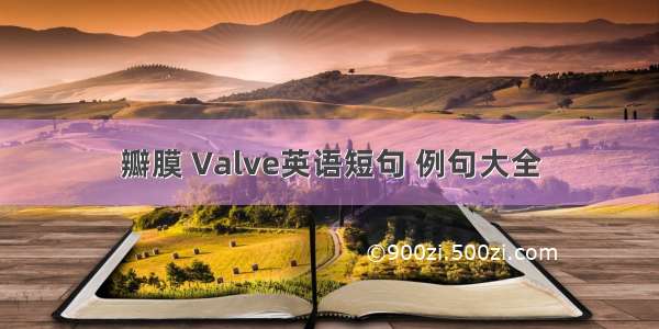 瓣膜 Valve英语短句 例句大全