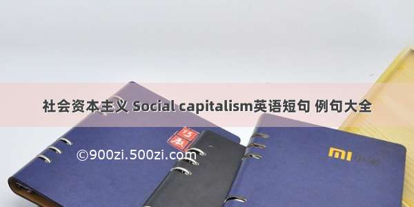 社会资本主义 Social capitalism英语短句 例句大全