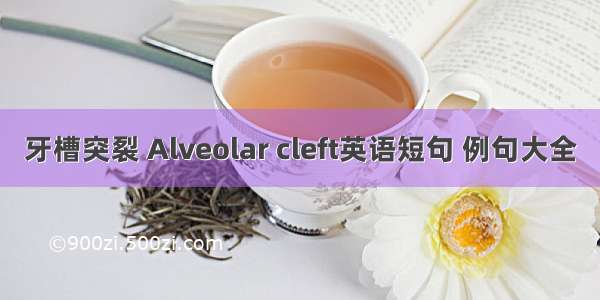 牙槽突裂 Alveolar cleft英语短句 例句大全