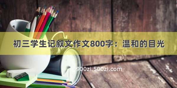 初三学生记叙文作文800字：温和的目光