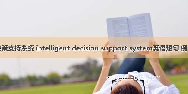 智能决策支持系统 intelligent decision support system英语短句 例句大全