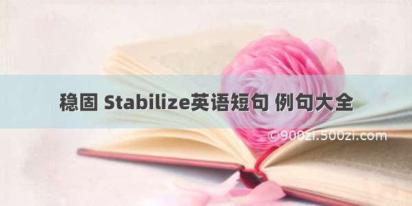 稳固 Stabilize英语短句 例句大全