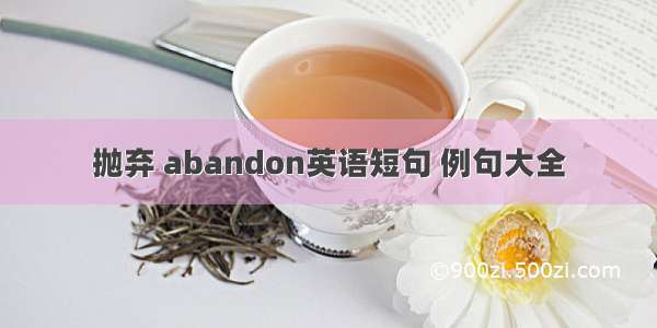 抛弃 abandon英语短句 例句大全