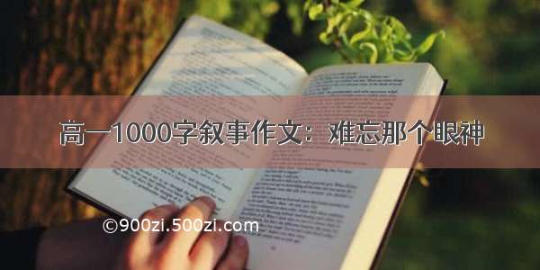 高一1000字叙事作文：难忘那个眼神