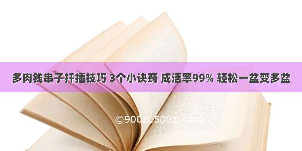 多肉钱串子扦插技巧 3个小诀窍 成活率99% 轻松一盆变多盆