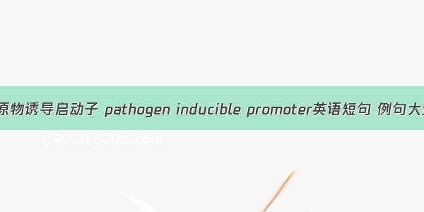 病原物诱导启动子 pathogen inducible promoter英语短句 例句大全