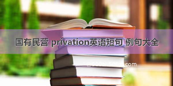 国有民营 privation英语短句 例句大全