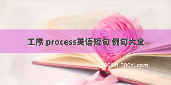 工序 process英语短句 例句大全