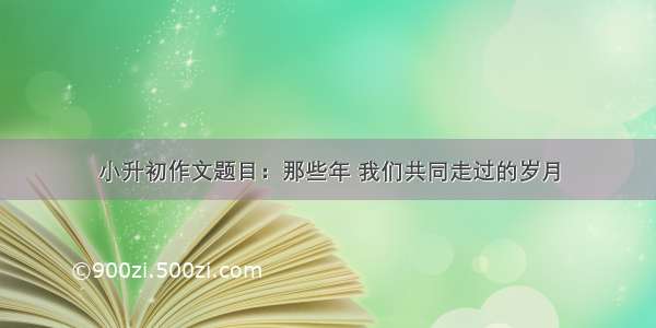 小升初作文题目：那些年 我们共同走过的岁月