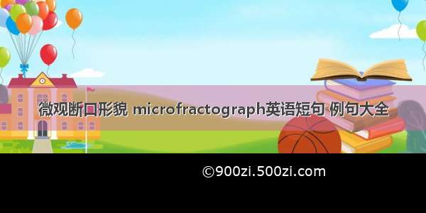 微观断口形貌 microfractograph英语短句 例句大全