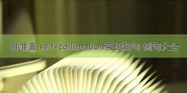 自准直 self-collimation英语短句 例句大全