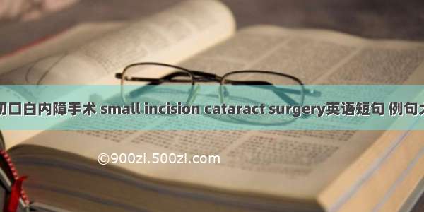 小切口白内障手术 small incision cataract surgery英语短句 例句大全