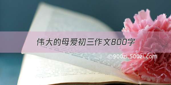 伟大的母爱初三作文800字