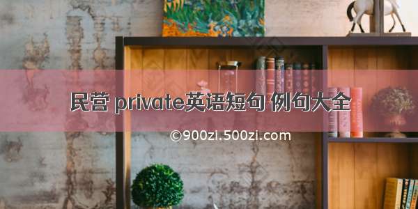 民营 private英语短句 例句大全