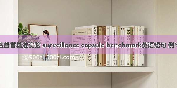 辐照监督管基准实验 surveillance capsule benchmark英语短句 例句大全