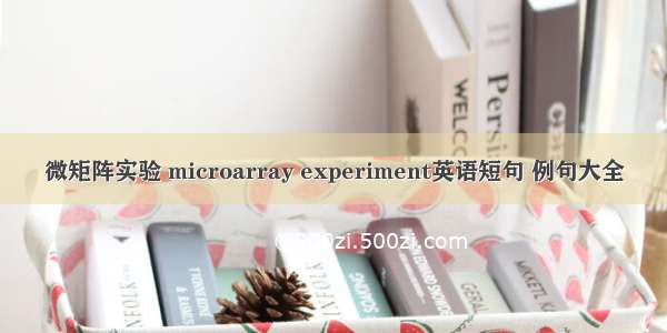 微矩阵实验 microarray experiment英语短句 例句大全
