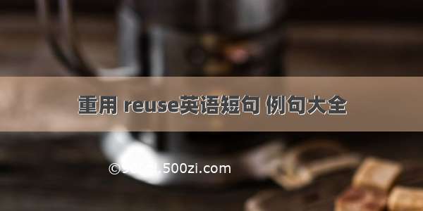 重用 reuse英语短句 例句大全